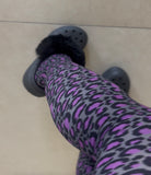 Purple and Grey Animal Print Tights